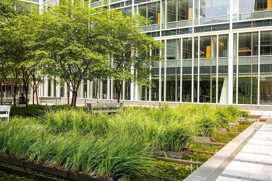 Suburban office building with low-water planting beds, mature trees, and a walkway leading to the entrance.